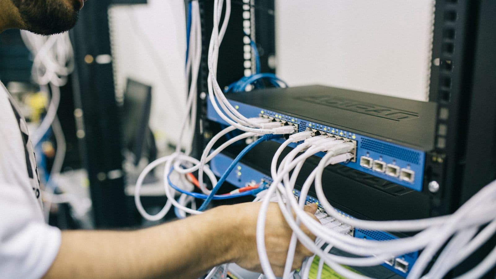 Ethernet cables plugged into a network switch